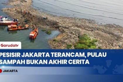 HEADLINE NEWS - “Pulau Sampah” Muara Angke: Dampak Hulu-Hilir Jadi Ancaman Berulang