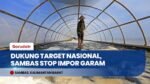 Intip Sentra Garam Rakyat Desa Sebubus Sambas, Andalan Baru Kemenko Infrastruktur
