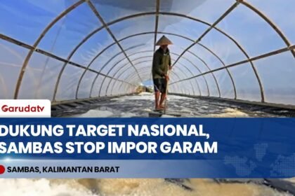 Intip Sentra Garam Rakyat Desa Sebubus Sambas, Andalan Baru Kemenko Infrastruktur