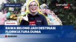 Jakarta International Flower Festival 2026 Dorong Pasar Rawa Belong Mendunia