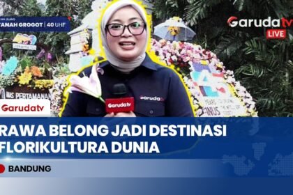 Jakarta International Flower Festival 2026 Dorong Pasar Rawa Belong Mendunia