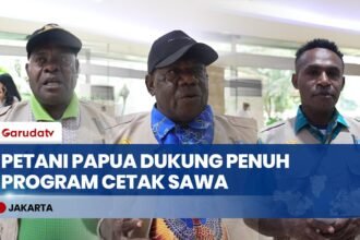 Jawab Perubahan Zaman! Petani Papua Dukung Penuh Program Cetak Sawah Rakyat dari Pemerintah