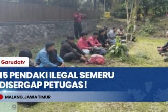 Disergap Gakkum KLHK! 15 Pendaki Ilegal di Gunung Semeru Diamankan Petugas TNBTS