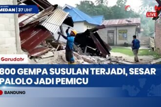 BMKG Ungkap Pemicu Gempa M 6,7 di Sigi