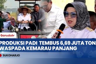 Jawa Tengah Kejar Target 10,5 Juta Ton Padi, Antisipasi Kemarau Panjang Disiapkan