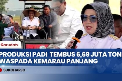 Jawa Tengah Kejar Target 10,5 Juta Ton Padi, Antisipasi Kemarau Panjang Disiapkan