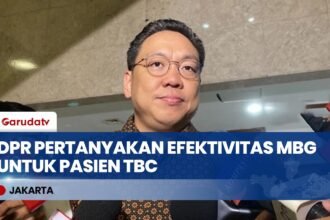 Soal Usulan Pasien TBC Terima Makan Bergizi Gratis, Komisi IX DPR Minta Kemenkes Kaji Ulang
