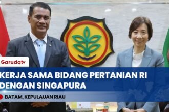 Sinergi Bilateral RI-Singapura: Dongkrak Ekspor Komoditas Pangan dan Kolaborasi Teknologi Pertanian