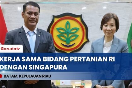 Sinergi Bilateral RI-Singapura: Dongkrak Ekspor Komoditas Pangan dan Kolaborasi Teknologi Pertanian