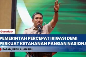 Dobrak Hambatan Regulasi, Wamentan Sudaryono Percepat Perbaikan Irigasi Demi Swasembada Pangan