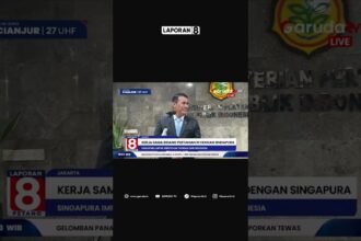 Sinergi Bilateral RI Singapura Dongkrak Ekspor Komoditas Pangan dan Kolaborasi Teknologi Pertanian