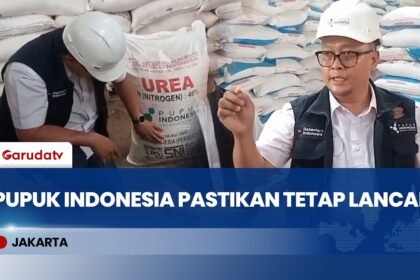 Pupuk Indonesia Pastikan Stok Pupuk Bersubsidi di Tegal Aman Hingga Tiga Pekan ke Depan
