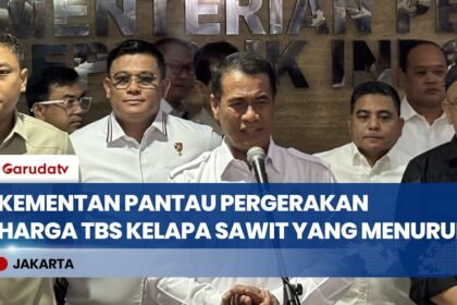 Pantau Fluktuasi Harga TBS, Kementan Upayakan Stabilisasi dan Perlindungan Petani Sawit