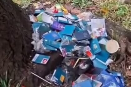 Fakta di Balik Viral Paspor Berserakan di BSD: Ternyata Ratusan Sampul Bekas Milik Jemaah