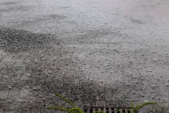 Badan Meteorologi, Klimatologi, dan Geofisika (BMKG)