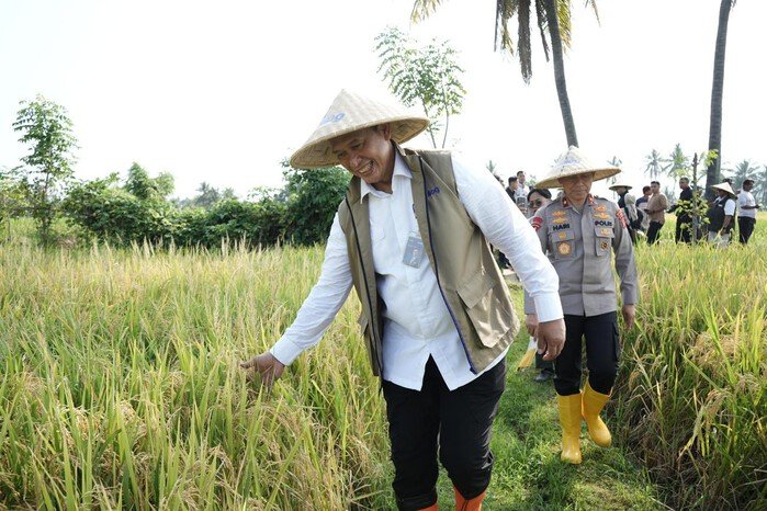 BULOG Tembus 3 Juta Ton Serapan Gabah-Beras Petani, Rekor Baru Penguatan Cadangan Pangan 2 BULOG Tembus 3 Juta Ton Serapan Gabah-Beras Petani, Rekor Baru Penguatan Cadangan Pangan