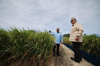Muhammad Qodari mengungkap sejumlah kebijakan Presiden Prabowo Subianto di sektor pertanian, mulai dari penurunan harga pupuk, penambahan kuota subsidi, bantuan alsintan, hingga kenaikan HPP gabah yang diklaim berdampak pada peningkatan kesejahteraan petani dan ketahanan pangan nasional.
