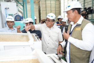 BPK RI memberikan apresiasi kepada BULOG atas capaian pengadaan gabah dan beras dalam negeri yang telah mencapai 77 persen dari target nasional hingga awal Juni 2026.