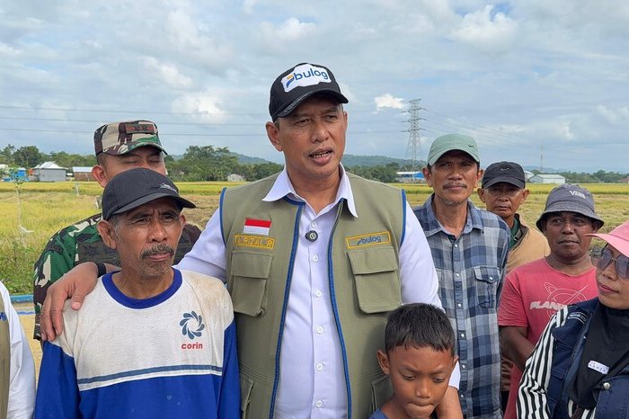 BULOG Terus Menyerap Gabah Beras Petani Dalam Negeri Sepanjang Tahun Sesuai Penugasan Pemerintah 13 BULOG Terus Menyerap Gabah Beras Petani Dalam Negeri Sepanjang Tahun Sesuai Penugasan Pemerintah