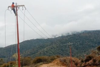 PLN berhasil menghadirkan layanan listrik 24 jam penuh bagi 1.396 rumah tangga di empat distrik Kabupaten Pegunungan Arfak, Papua Barat, setelah menuntaskan pembangunan jaringan listrik di medan pegunungan yang menantang.