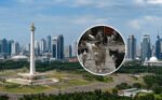 300 Ribu Kucing Liar Berkeliaran di Jakarta