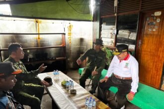 Diselamatkan Warga Adat, Tujuh Penumpang Pesawat AMA Lolos dari Serangan OPM