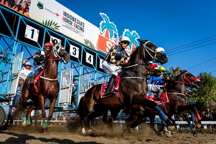 Indonesia’s Horse Racing: Indonesia Derby 2026 Catat Total Lebih dari 24.000 Penonton; Kontingen Sulawesi Utara Juara Umum Kejurnas Seri I 3 Indonesia’s Horse Racing: Indonesia Derby 2026 Catat Total Lebih dari 24.000 Penonton; Kontingen Sulawesi Utara Juara Umum Kejurnas Seri I