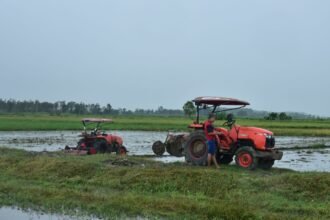 Mentan Pastikan Sawah Cetak di Merauke Milik Rakyat, Petani Kini Lebih Sejahtera