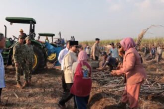 Petani memanfaatkan momen panen raya nasional di Malang untuk menyampaikan harapan langsung kepada Presiden Prabowo Subianto terkait kesejahteraan petani, pupuk, dan pembangunan desa.