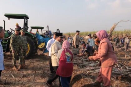 Petani memanfaatkan momen panen raya nasional di Malang untuk menyampaikan harapan langsung kepada Presiden Prabowo Subianto terkait kesejahteraan petani, pupuk, dan pembangunan desa.