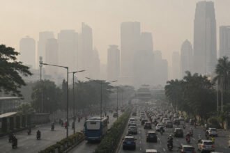 Sering Terpapar Polusi Kenali 5 Sinyal Tubuh yang Perlu Diwaspadai