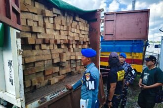 TNI AL Gagalkan Pengiriman Kayu Ilegal Senilai Rp270 Juta ke Pulau Jawa