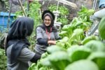 GreenBus Pertamina, Ajak Generasi Muda Belajar dari Kampung Hijau Cemara