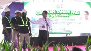 Pendapatan Petani Melonjak 300 Persen, Anggaran Rp1,3 Triliun Mengalir untuk Lumbung Pangan Papua Selatan