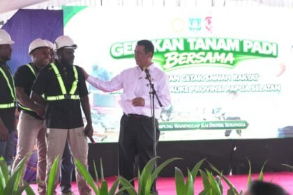 Pendapatan Petani Melonjak 300 Persen, Anggaran Rp1,3 Triliun Mengalir untuk Lumbung Pangan Papua Selatan