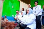 Menteri PPPA dan Kepala BPS Apresiasi Pemberdayaan PNM untuk Usaha Ekonomi Sirkular
