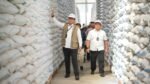 BULOG Serap 3,5 Juta Ton Beras, Target 4 Juta Ton Kian Dekat