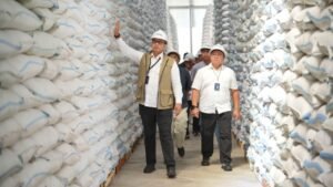 BULOG Serap 3,5 Juta Ton Beras, Target 4 Juta Ton Kian Dekat
