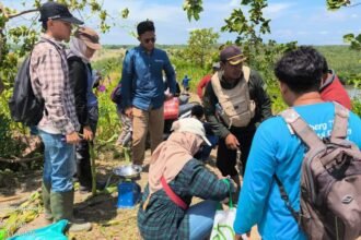 Inisiatif Bioenergy Lestari Diakui Dunia, Pertamina Raih Outstanding SDG Innovator 2026