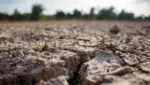 BMKG: 60 Persen Wilayah Indonesia Masuk Musim Kemarau, El Niño Perkuat Cuaca Kering