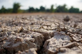 BMKG: 60 Persen Wilayah Indonesia Masuk Musim Kemarau, El Niño Perkuat Cuaca Kering