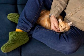 Bukan Cuma Numpang Tidur! Ini Alasan Ilmiah Mengapa Kucing Suka Meringkuk di Kaki Pemiliknya