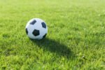 Bisnis Gila FIFA: Jual Rumput Stadion Final Piala Dunia 2026, Targetkan Cuan Rp198 Miliar