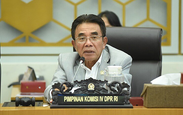 Komisi IV DPR RI membentuk tim untuk meninjau langsung dugaan dampak tailing PT Freeport Indonesia di Mimika sebagai bagian dari fungsi pengawasan.