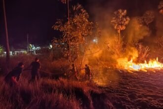 Labuan Bajo Membara, Sudah 6 Jam 100 Hektar Sabana Kering di Keranga Hangus Dilalap Api