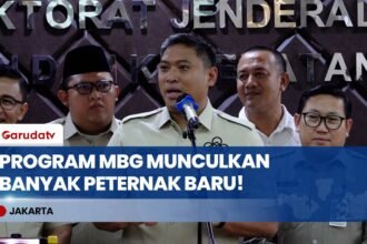 Jadi Pasar Baru yang Masif! Wamentan Sebut Program MBG Berhasil Tumbuhkan Peternak Lokal!