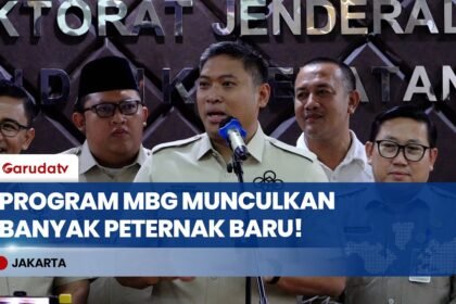 Jadi Pasar Baru yang Masif! Wamentan Sebut Program MBG Berhasil Tumbuhkan Peternak Lokal!