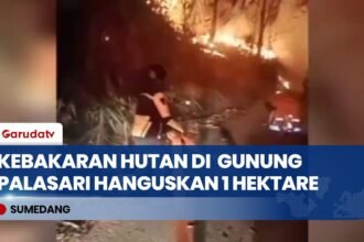 Kebakaran Lahan Seluas Satu Hektare di Lereng Gunung Palasari Berhasil Dipadamkan