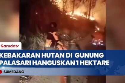 Kebakaran Lahan Seluas Satu Hektare di Lereng Gunung Palasari Berhasil Dipadamkan