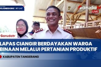 Dari Balik Jeruji Menuju Mandiri, Lapas Ciangir Cetak Warga Binaan Terampil Bertani dan Beternak